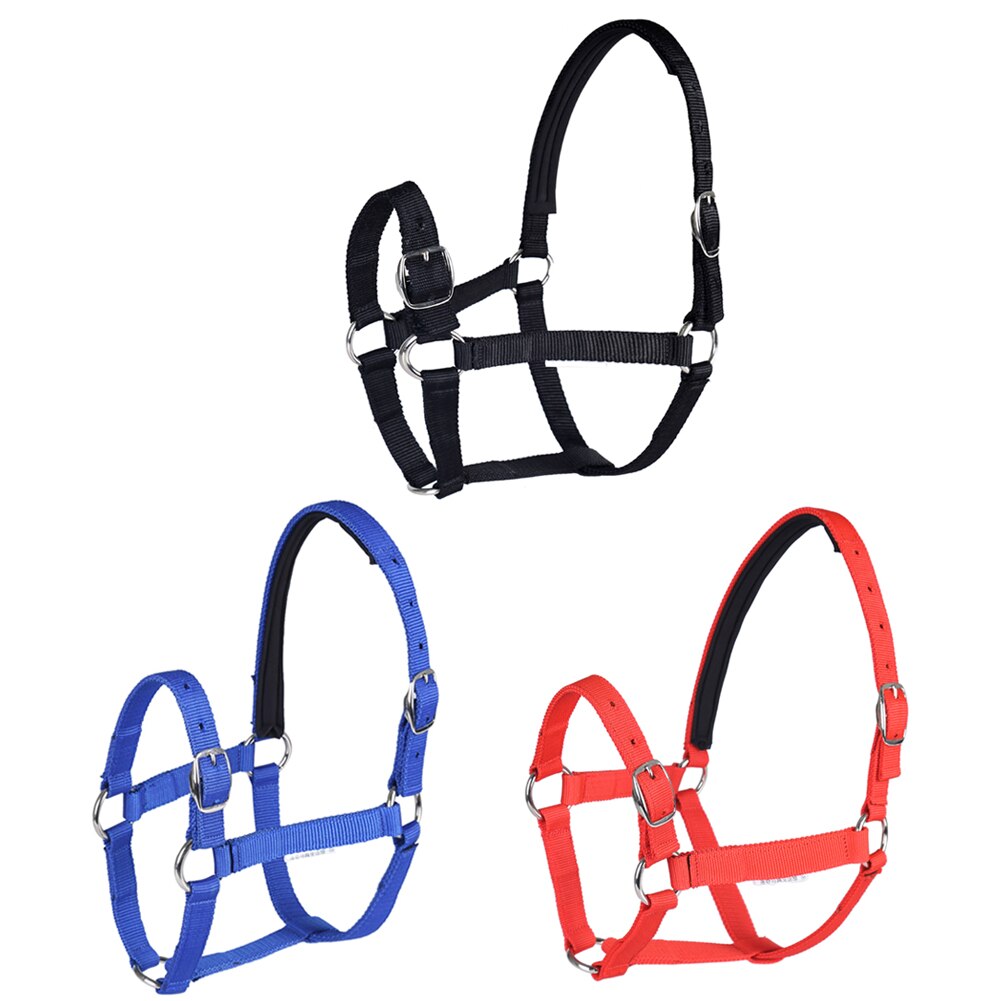 Horse Head Collar Adjustable Riding Safety Halter Belts Equestrian Equipment Riding Racing Equipment Training Rope