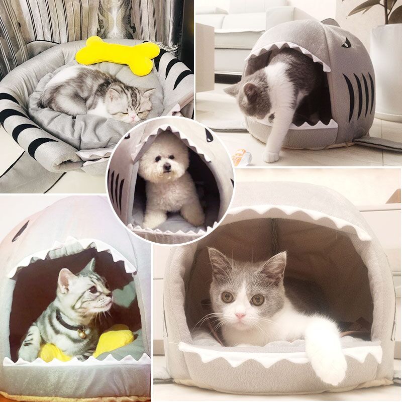 Viileä dinosaurus kissa talo talvi lämmin lemmikki koira kissa teltta koti kennel kesäpesä pehmeä kokoontaitettava makuumatto pehmuste pesä lemmikkitarvikkeet