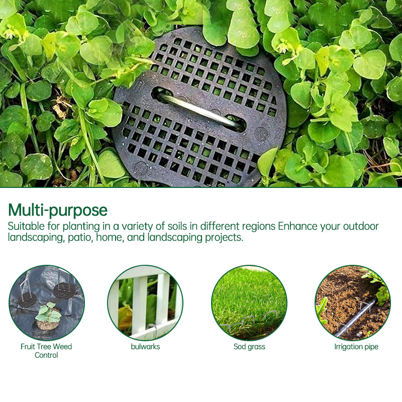 20/40 Uds estacas de jardín de acero inoxidable Metal plata clavos doblados herramientas de fijación de jardinería estacas de película enrejado clavos