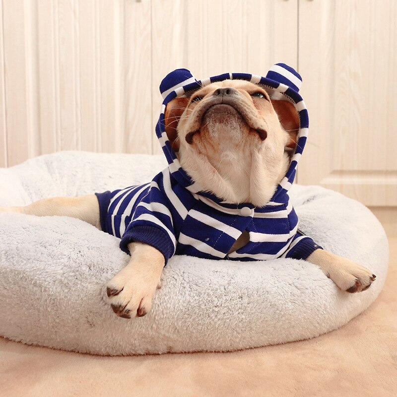 Varm kæledyrsfrakke fedt hundetøj til hunde fransk bulldog capucha invierno maskot vinterkæledyrstøj bule tøj hunde størrelse s-xxl