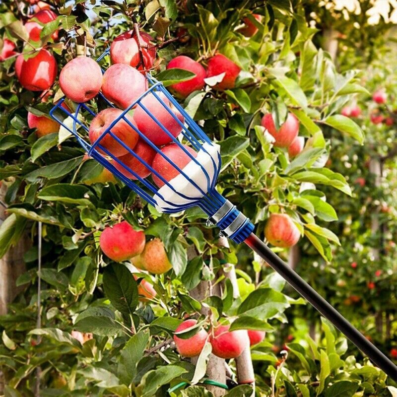 Metal Fruit Picker Catcher Fruit Picking Fruit Catcher Device Greenhouse Fruits Picker Collection Garden Tools