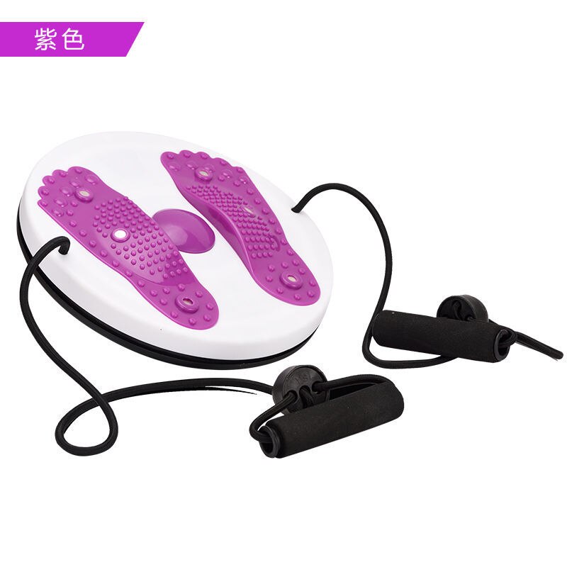 Fitness Waist Twisting Disc Balance Board Fitness Body Building For Sports Magnetic Massage Plate Wobble Waist Twisting Disc: style 3 purple