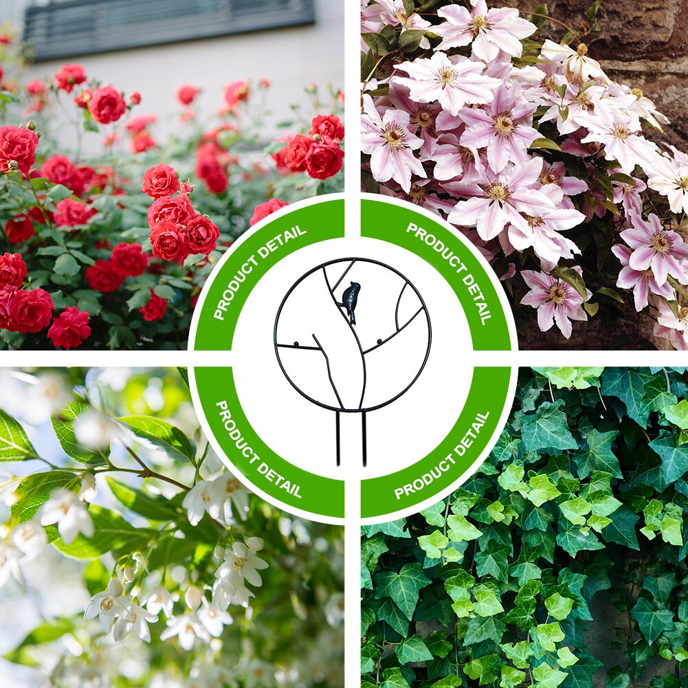 Indoor Pot Pea Display Climbing Plants Vine Cucumbers Rose Ivy Support Garden Flower Vegetables DIY Metal Plant Trellis