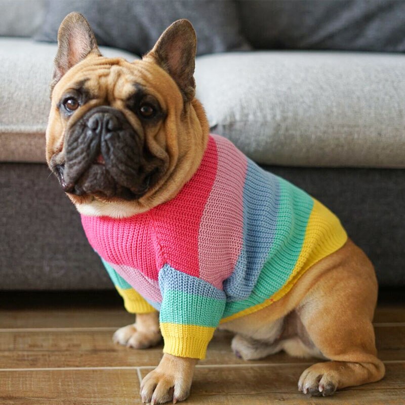 Varmt hundetøj vinter regnbue kæledyr hund sweater fede hunde frakke fransk bulldog kæledyr tøj til små mellemstore hunde hvalpe kostume mops