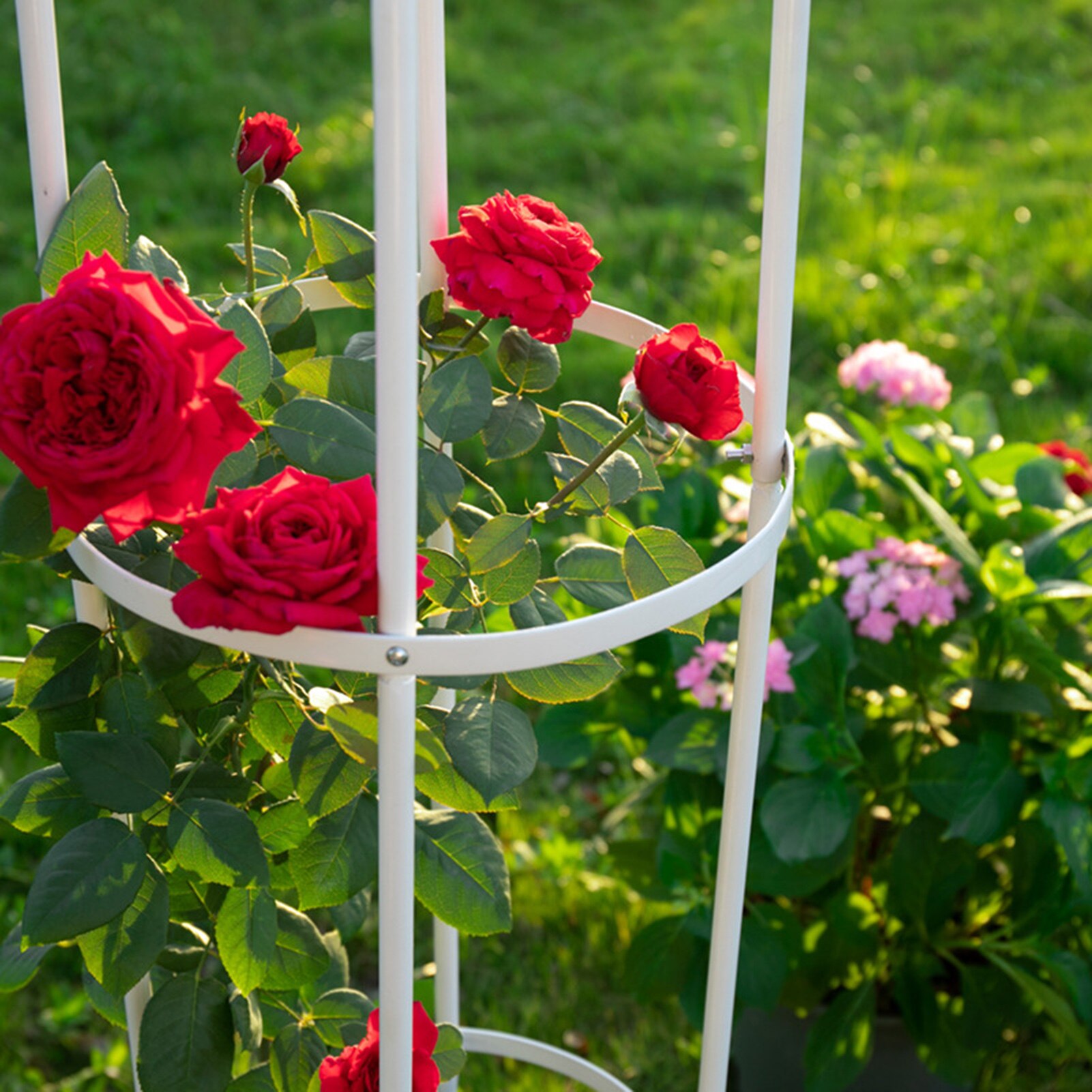 Estante de hierro desmontable para plantas trepadoras, marco de soporte para cultivo de flores y verduras, enrejado para jardín al aire libre, decoración de jardín