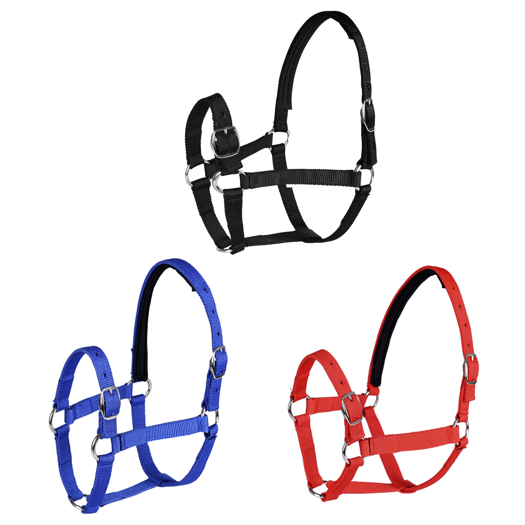 Adjustable Equestrian 4.3ft - 5.4ft Horse Halter - for Training, Trailering and Lunging