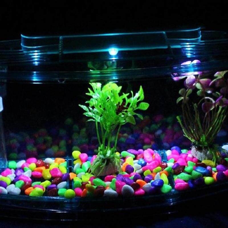 Betta-caja de aislamiento de peces para acuario, recipiente para cría de peces, P4G7