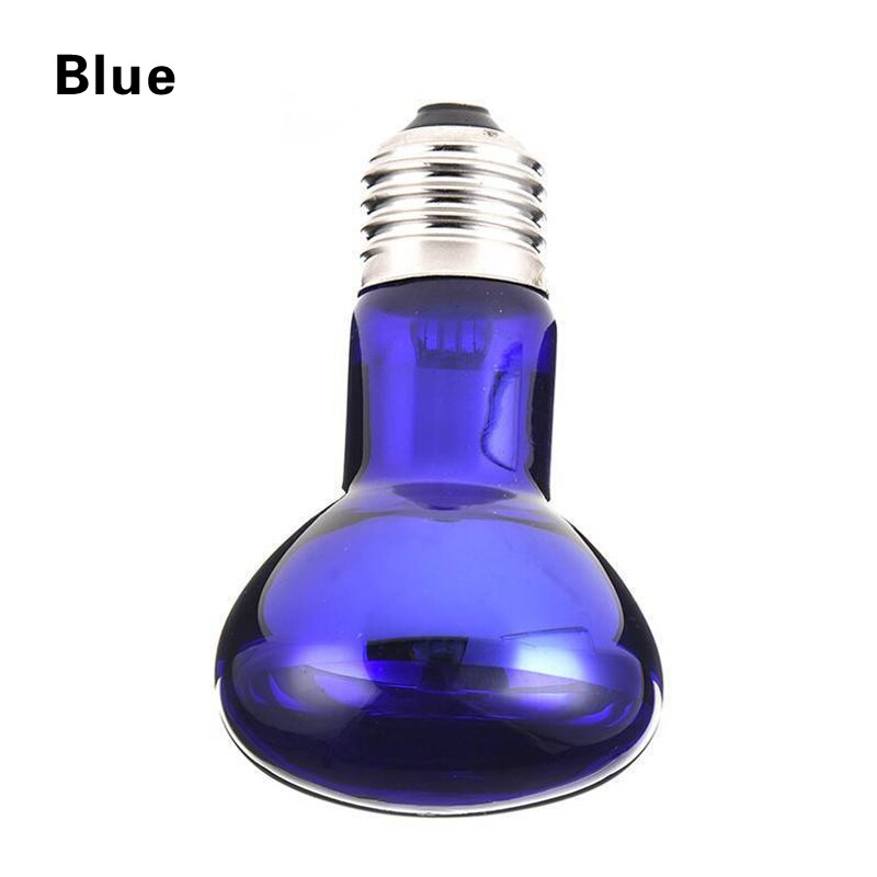 Bombilla térmica para animales de compañía, lámpara de calor para terrario, Reptiles, lagartos, pollo y cerdo, aislante, para cría de animales: Blue 100W