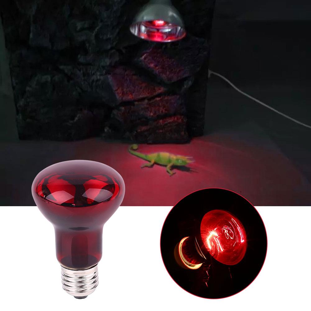 Heat Lamp for Reptiles Reptile 50/60Hz AC220-230V Heating E27 Pet Supplies Bulb Bulb Basking Light Reptile Lamp Light Digital
