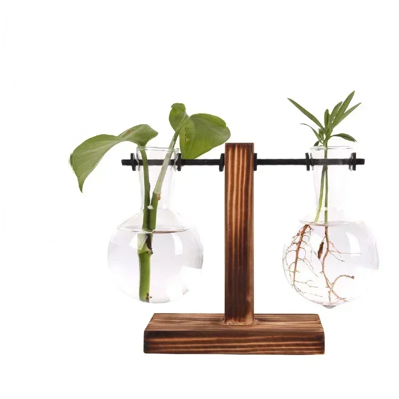 Hydrokultur-Pflanze, Terrarium, Vasevase, Dekoration für Zuhause, Glasflasche, Hydrokultur-Desktop-Dekoration, Büro, grüne Pflanze, kleiner Topf