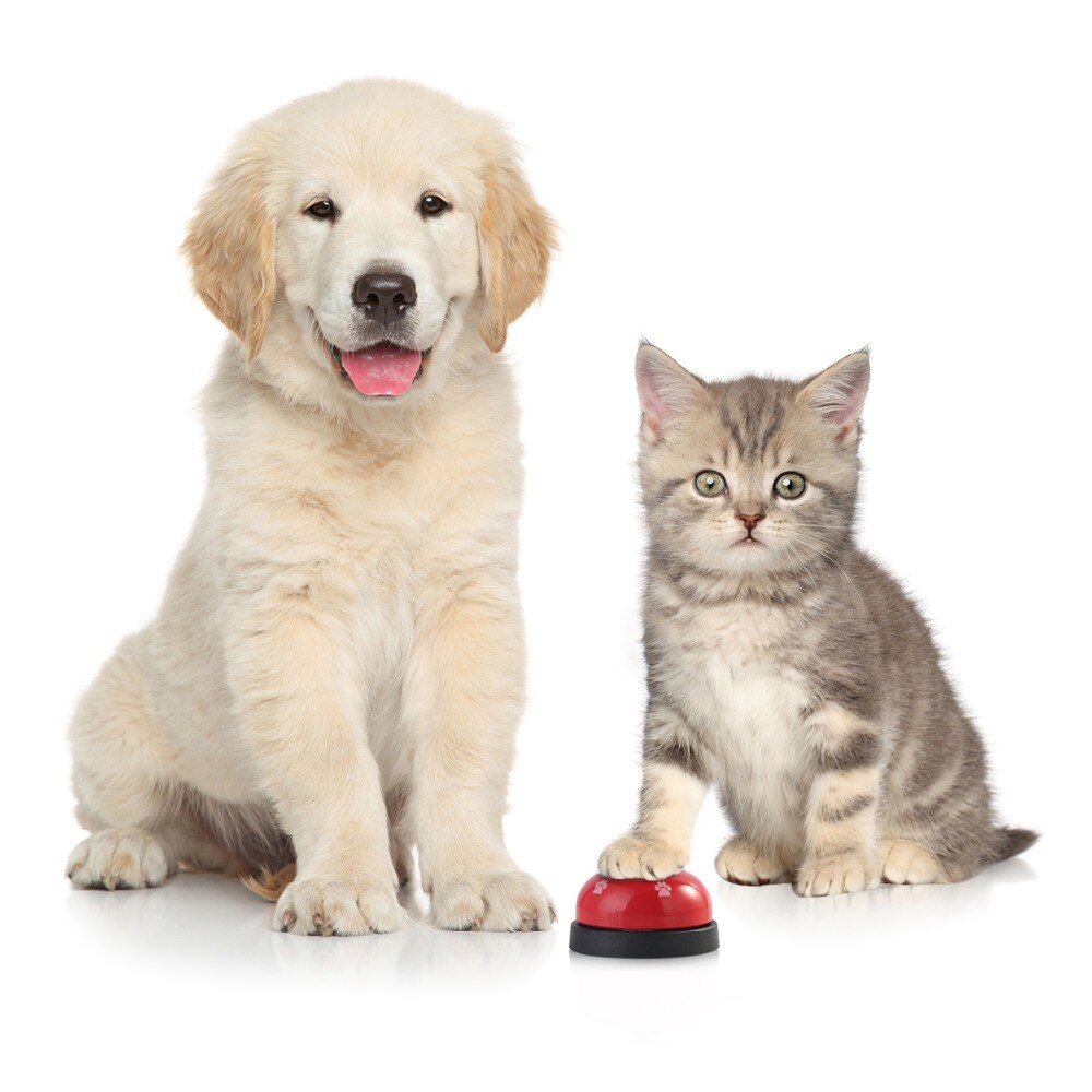 2 teile/los Hund Ausbildung Glocke Hund Eatting Trinken Töpfchen Trainer Glocke Fußabdruck Haustier Spielzeug Gewohnheit Verhalten Ausbildung Anruf