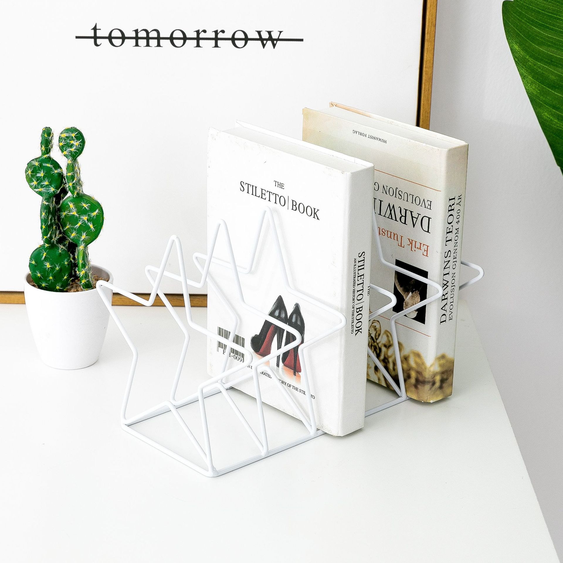 Pentastar Shape Magazine Holder File Sorter Metal 5 Slot Desk Organizer Rack for Document Folder Letter and Book Bookstand