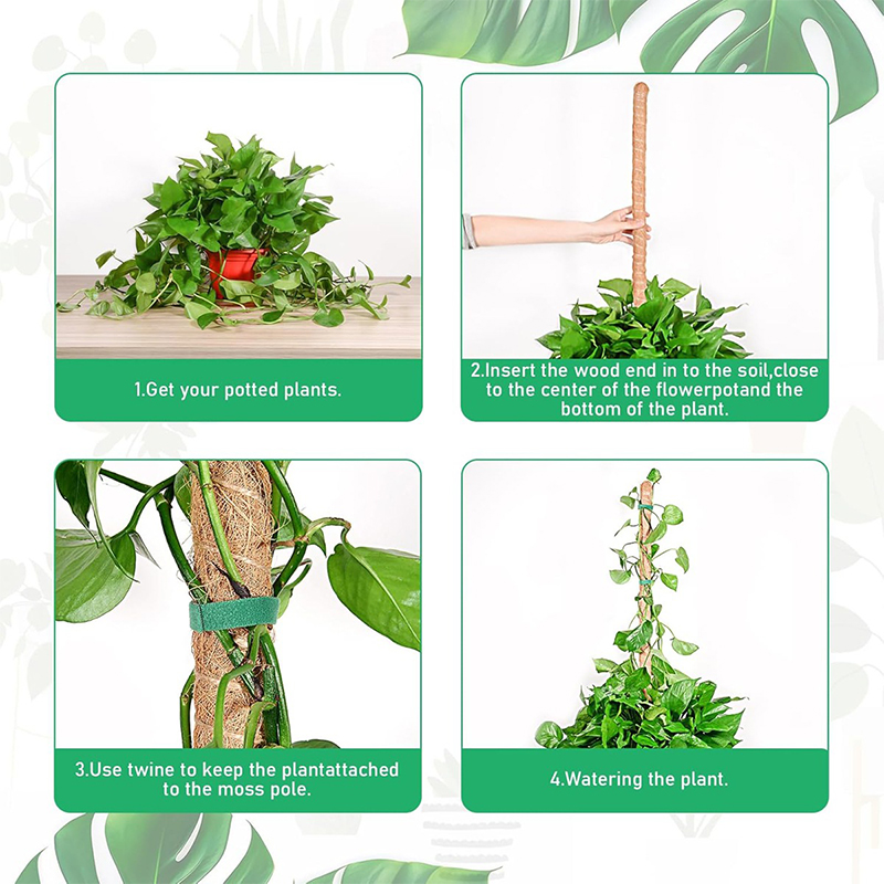Deformable Plant Scaffold Useful Things for Garden Accsesories Plants Accessories Outdoor for Stand Indoor Support Tutors Home