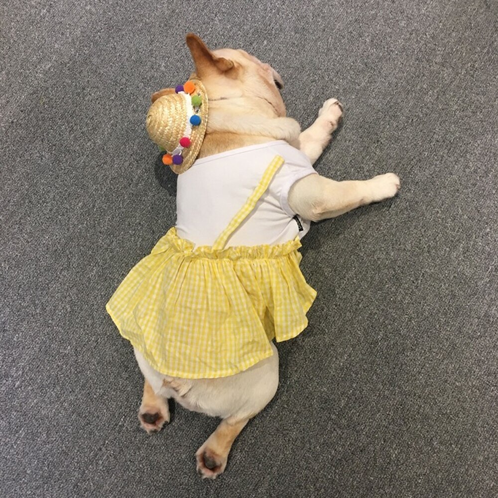 Behogar śmieszne słodkie zwierzęta domowe są słomy tkane kapelusz przeciwsłoneczny z kolorowe kulki dla małych psów kot kotek szczeniak festiwal urodziny impreza dostaw