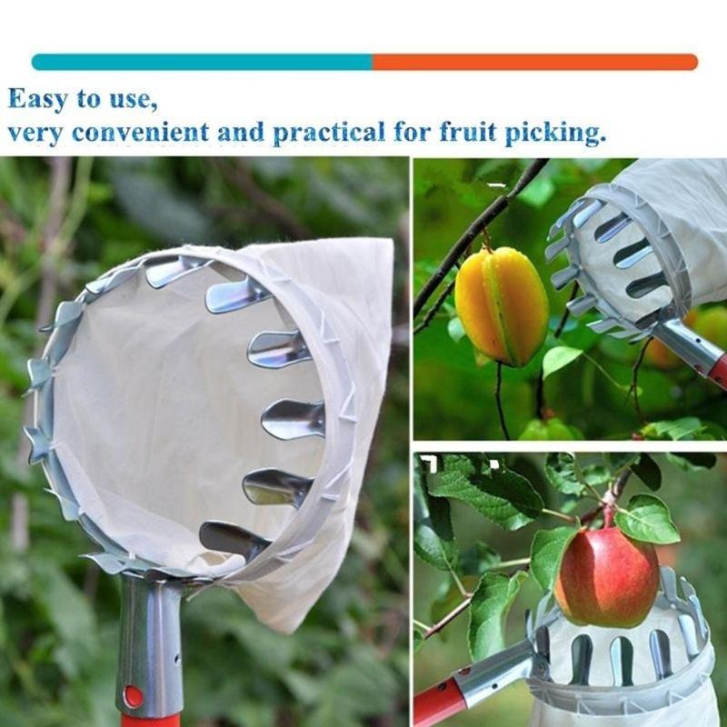 Cueillette de fruits en métal, pratique pour jardinage de pommes et d'arbres de pêche, outil de cueillette horticole de jardin