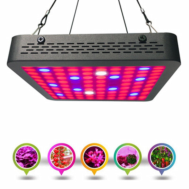 LED grow light 300 W Volledige Spectrum voor Indoor Kas kweektent planten groeien led licht Planten Aquarium Bloemen Groenten: 220V