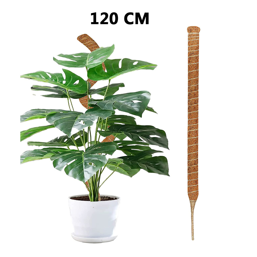Postes de plantas flexibles DIY para plantas, palos Monstera, soporte para entrenar en interiores, para crecer hacia arriba, estacas hechas a mano para escalar: Naranja