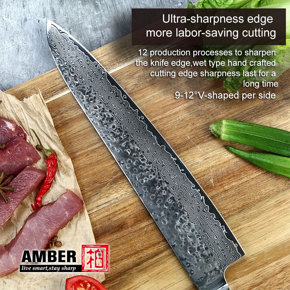 AMBER 10 inch Chef Knife 67 Layers VG10 Damascus Knife High Carbon Stainless Steel Forged Knives for Kitchen