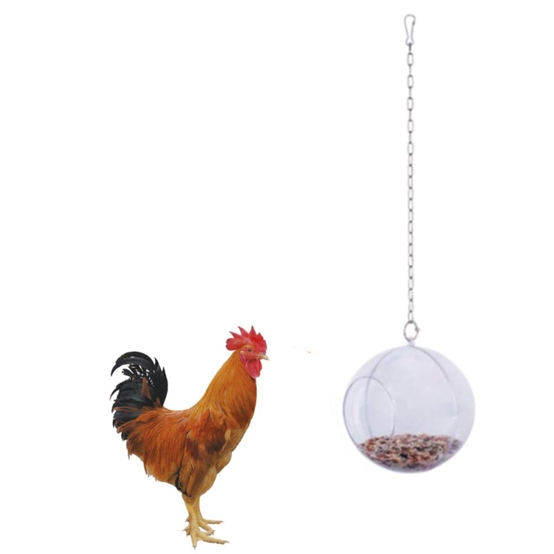 Bird Hanging Feeder Chicken Hen Pet Foraging Food Holder Veggies Fruit Dispenser