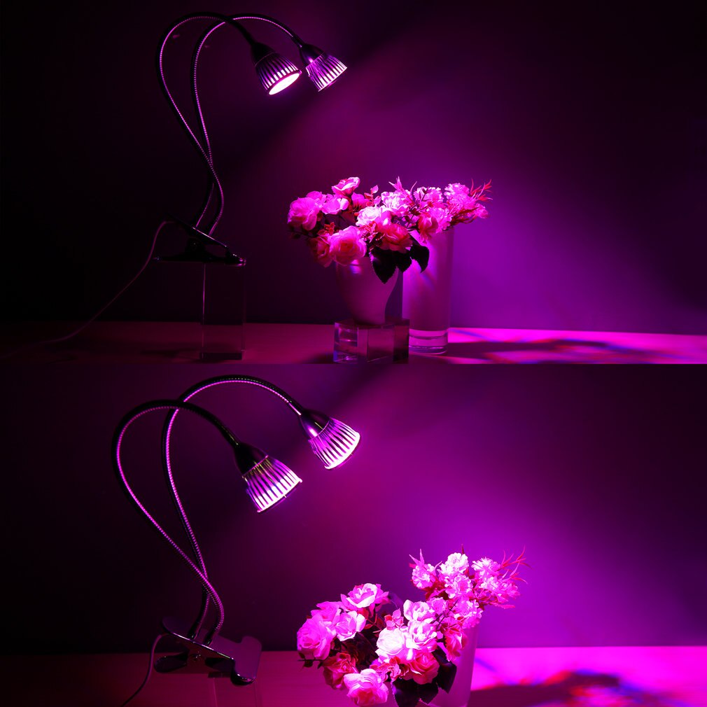 10W Double tête col de cygne LED plante grandir lumière pince lampe de Table hydroponique bureau grandir lumière jardin éclairage LED pousser la lumière