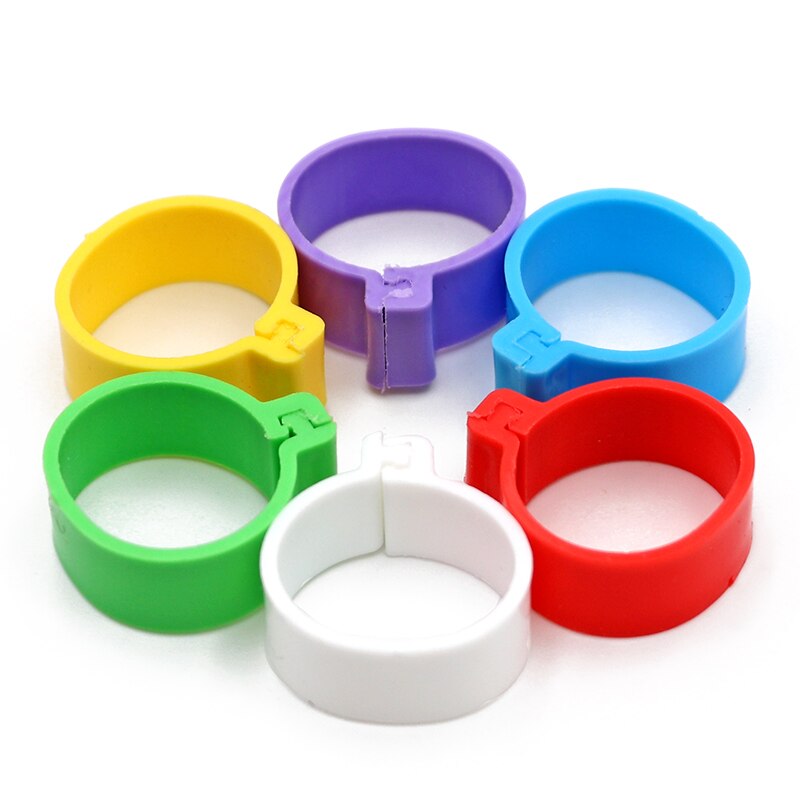 200 Stuks Kip Voet Ringen 20Mm Pluimvee Been Digitale Label Gesp Ring 6 Kleuren Zonder Woorden Plastic Kuiken Eend gans Apparatuur