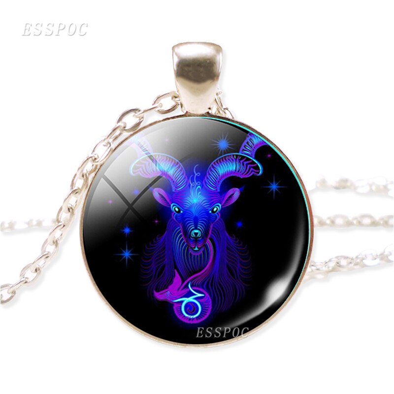 Twelve Constellation Chain Necklace Glass Alloy Zodiac Sign Pendant Necklace Charm Jewelry for Women: Capricorn