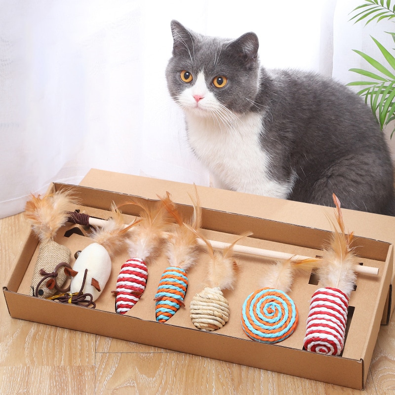 Veer Kat Speelgoed Set Interactieve Grappige Kat Kitten Teaser Staaf Speelgoed Box Pakket