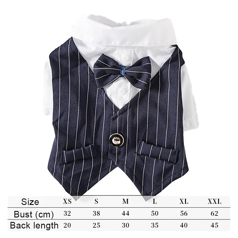 Gentleman chien vêtements rayure chien Costume formel chien chemise avec noeud mariage Costume chiot vêtements animal de compagnie petit chien Costume: Navy blue / S
