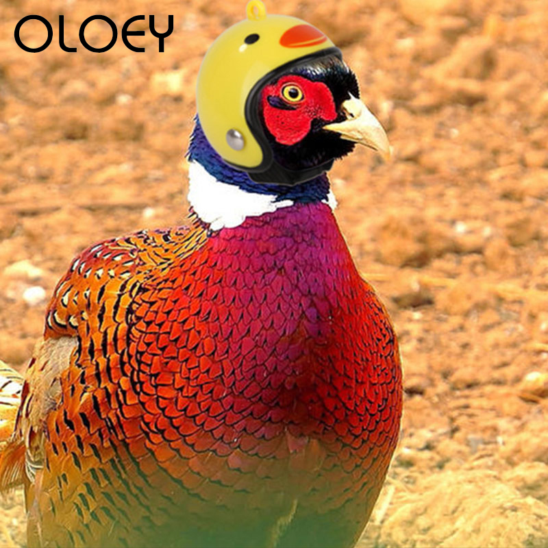 Huisdier Kip Helm Kleine Huisdier Hard Hat Bescherm Cap Vogel Eend Hoofddeksels Huisdier Helmen Speelgoed Hoofd Helm Accessoires Dierbenodigdheden