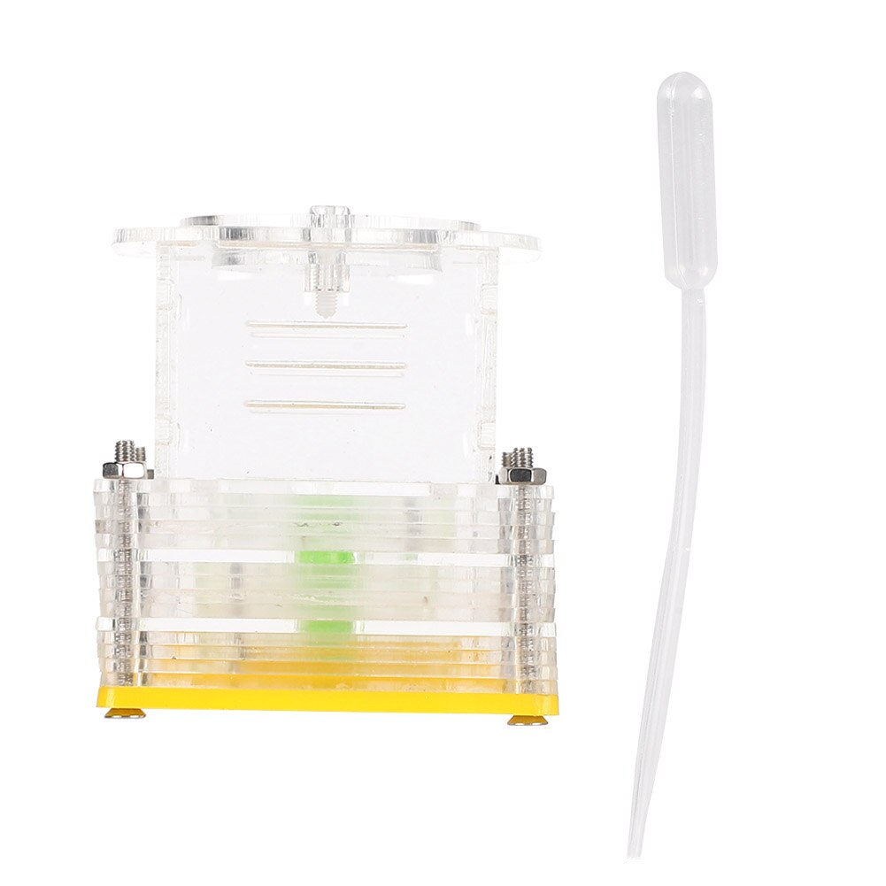 Reptiles Living Box Insect box Acrylic Ant Feeding Nest Transparent Insect House Case Ant Farm Ant Formicarium