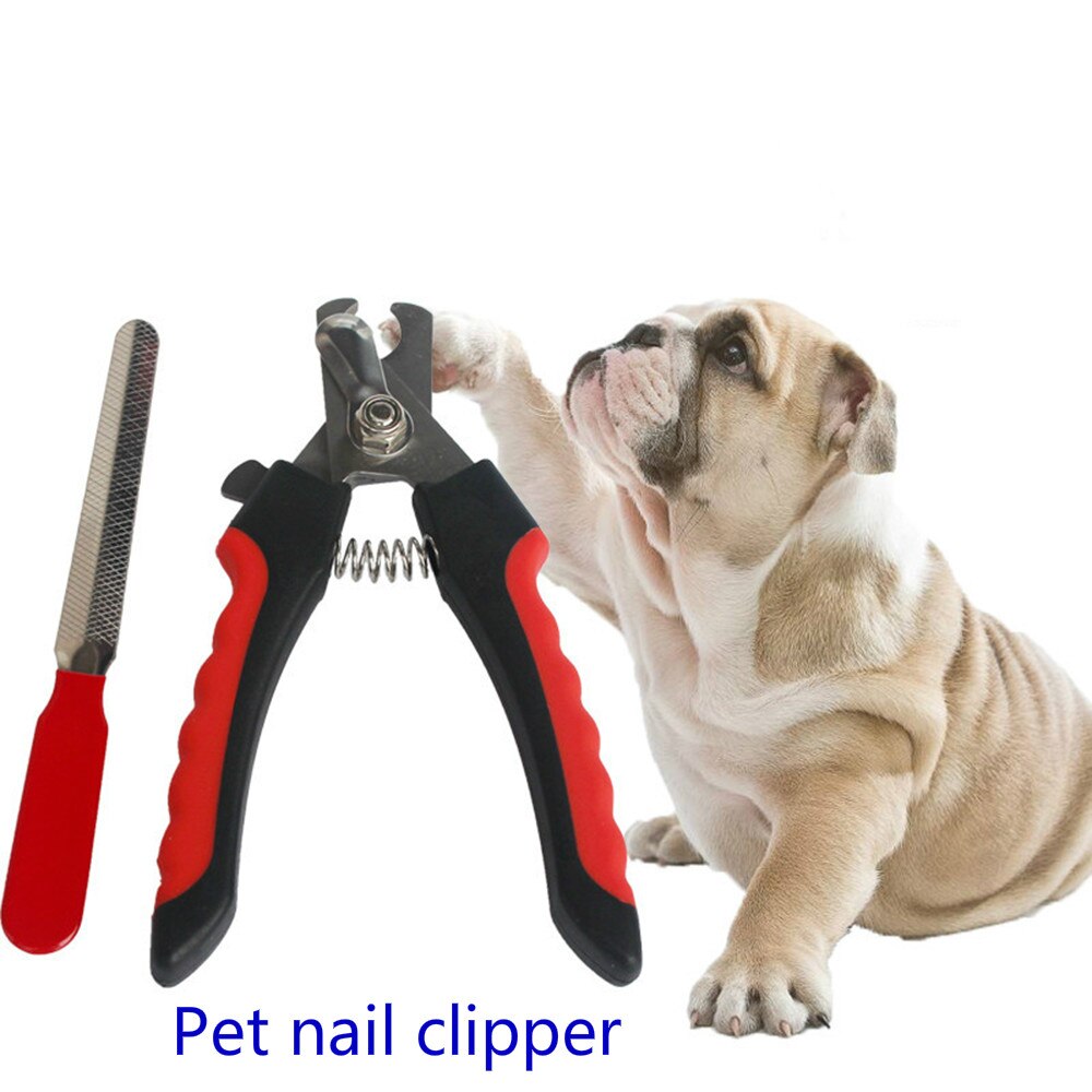 de mascotas perro de pelo de Pet Grooming herramienta Cizalla eléctrica recargable USB perro pelo pata Shaver Clipper: 1 set