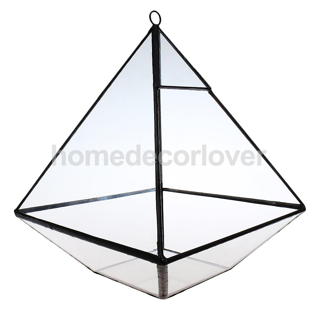 Irregular Glass Geometric Terrarium Box Tabletop Succulent Air Plant Fern Moss Pot Planter: 6