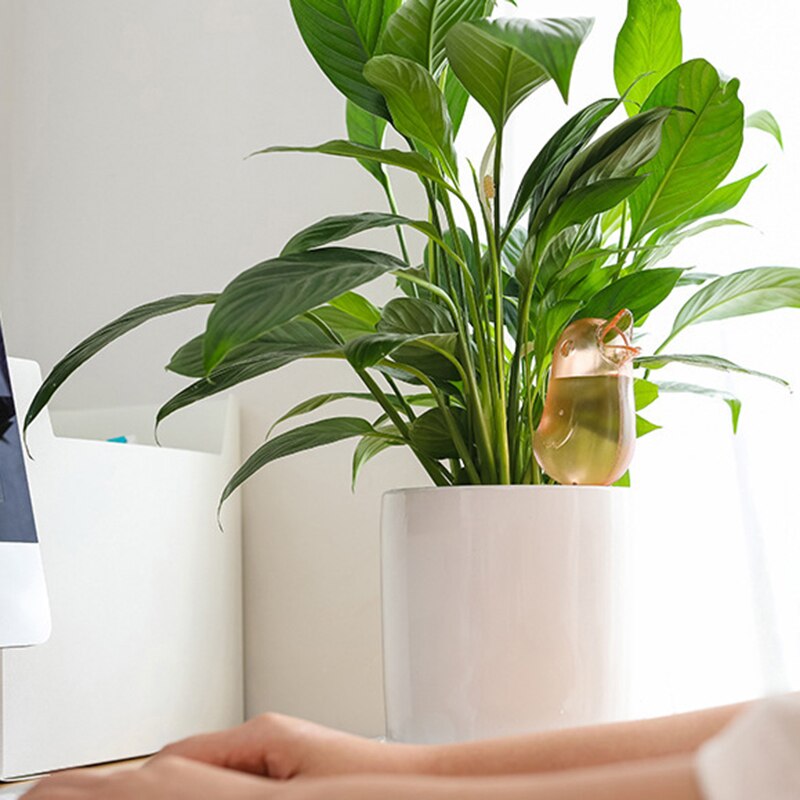 Automatiskt droppbevattningssystem lat växt krukväxt blomma automatisk bevattning anordning vattning vattenkokare lat trädgård vattning kit