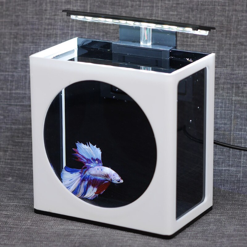 Cute Fighting Fish Tank Simple Display Fish Tank Office Ecological Micro Tank Ornamental Fish Mini Desktop Fish Tank