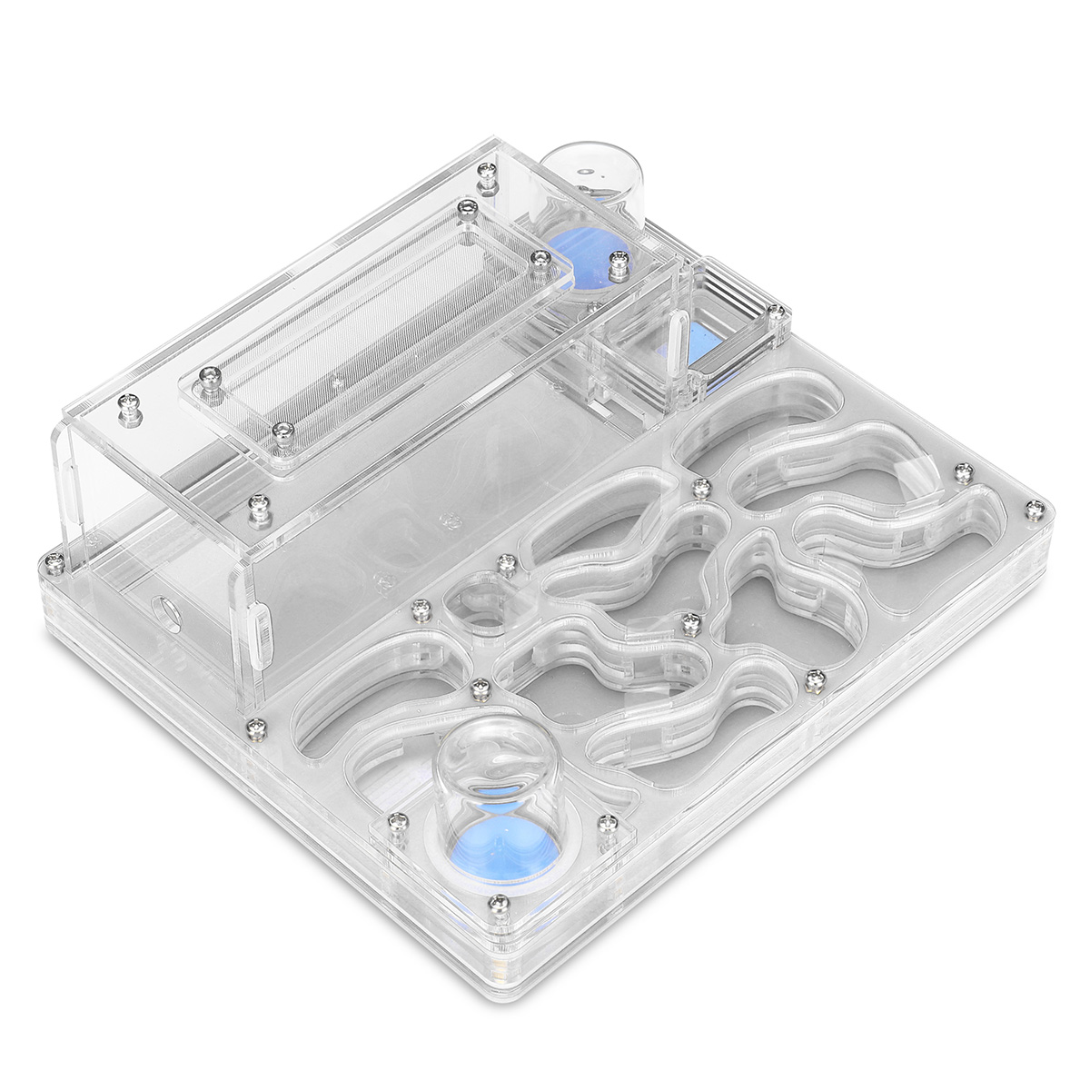 DIY Acryl Flat Ant Farm Large Ant Nest with Feeding Area Water Feeder Ant House Pet Anthill Workshop Multiple Colour: white