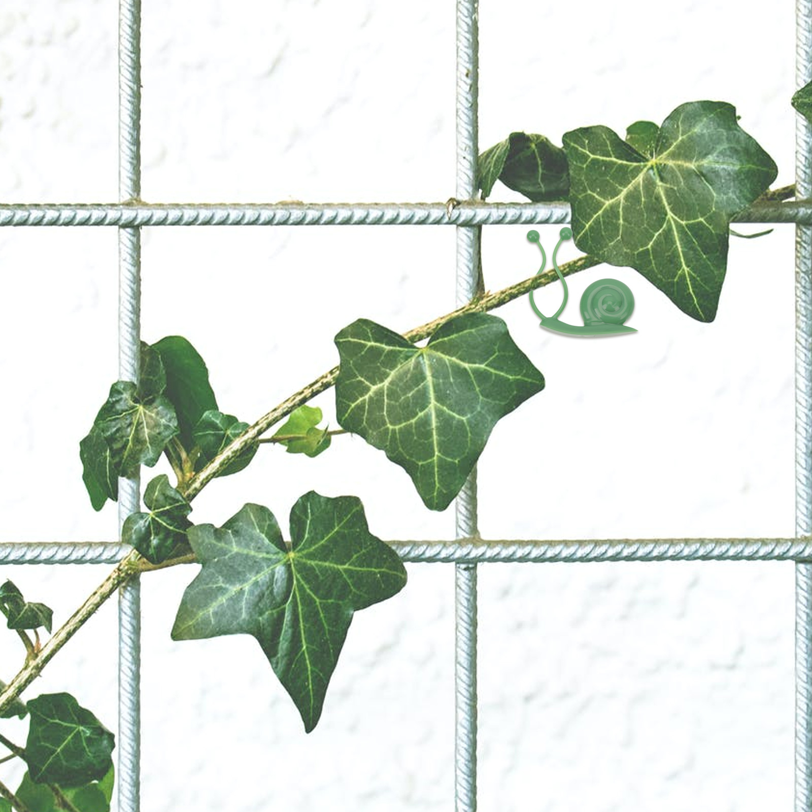 20pcs Wall Vines Fixing Clips Plant Climbing Wall Clips Plant Fixture Hooks Vines Holders for Yard Home Indoor