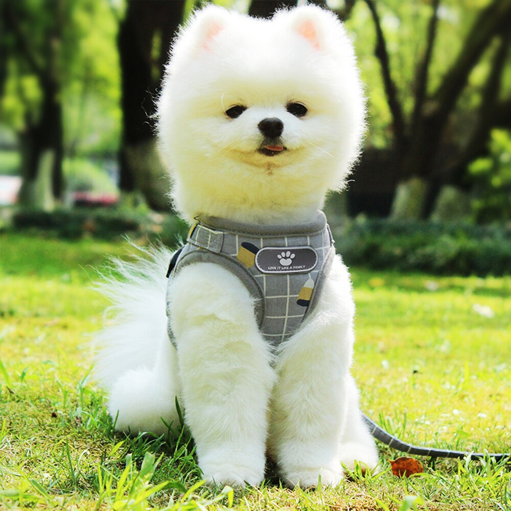 Hond Harnas Zomer Huisdier Verstelbare Reflecterende Vest Wandelen Lead Leash Voor Puppy Polyester Mesh Harnas Voor Kleine Middelgrote Hond #15