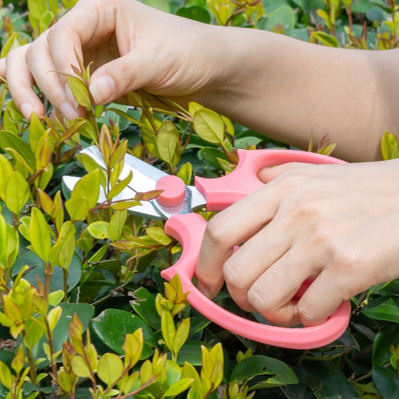 Arrondie Droite Cisailles Ciseaux D'élagage de Jardin En Acier Inoxydable Durable Jardinage Sécateur Branche Sécateur Coupeur