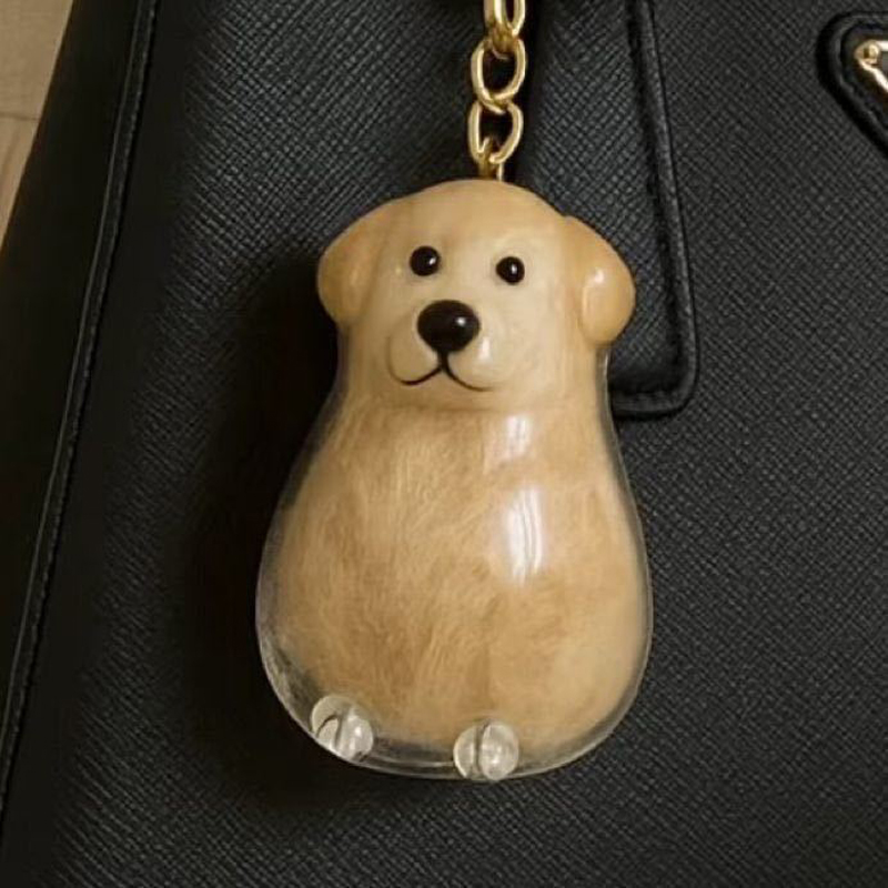 Caja de almacenamiento de pelo de perro, cápsula de recuerdo conmemorativo de pelo de cachorro, contenedor de piel de perro para mascota, llavero de cápsula transparente, recuerdos