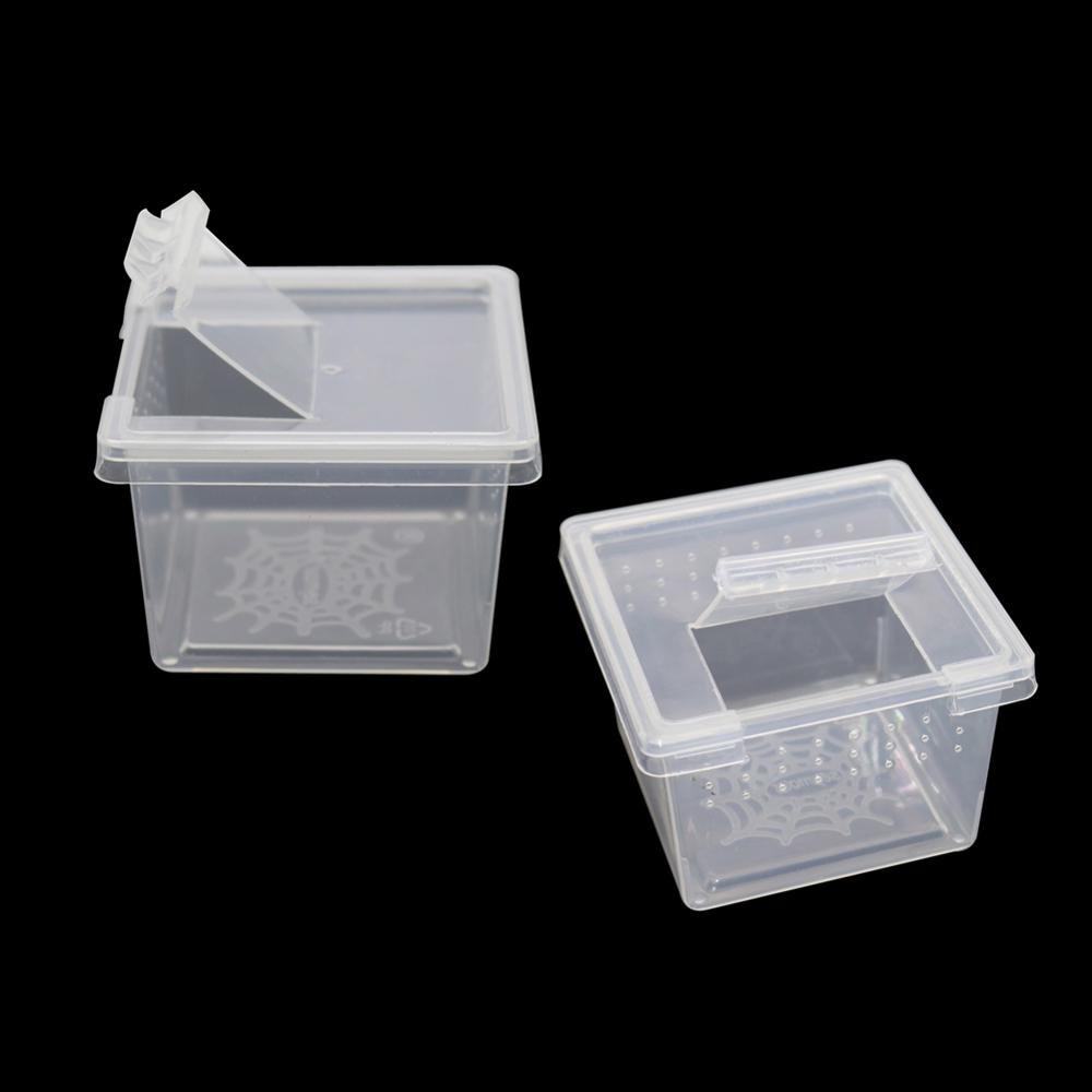 Caja de plástico transparente para criar reptiles, contenedor para cultivar insectos, araña Escorpión, 10 unidades