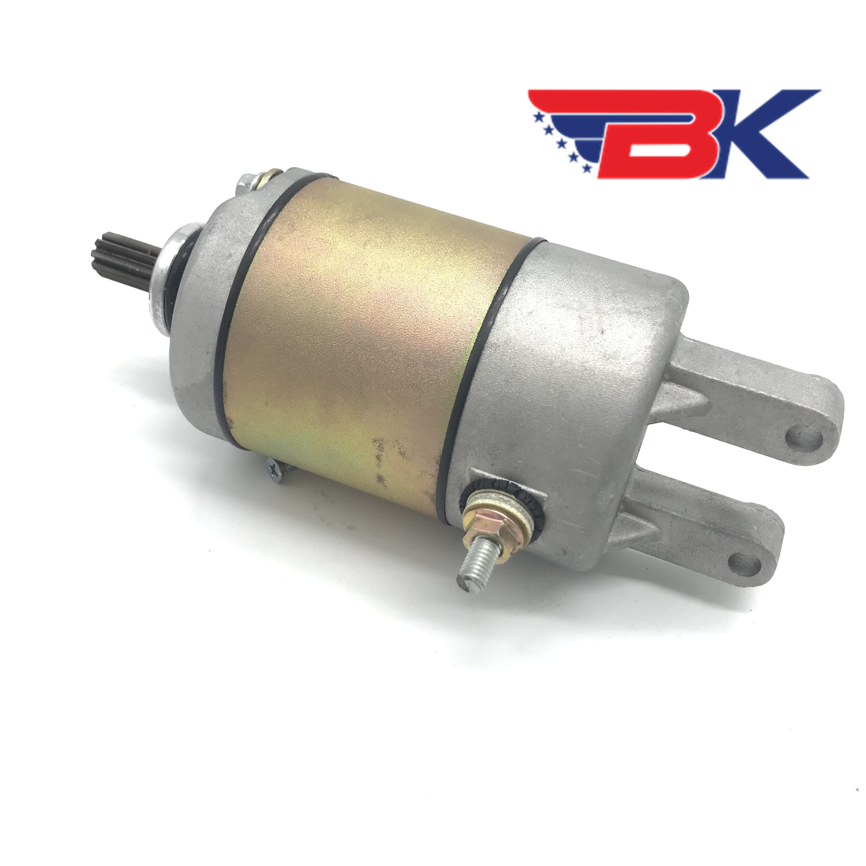 Starter Motor for Chinese Feishen GSMOON Buyang Linhai Jinling 260cc 300cc Scooter ATV Quad JLA-925E 921E Parts