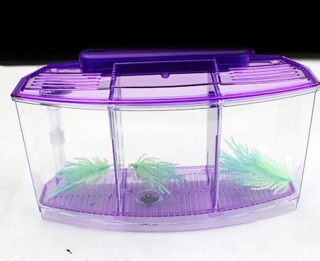 Acrylic 3 Splits Aquarium Betta Fish Bowl Led Light Aquarium Incubator Hatchery Breeding Box Fish Tank Turtle Reptile House: Purple