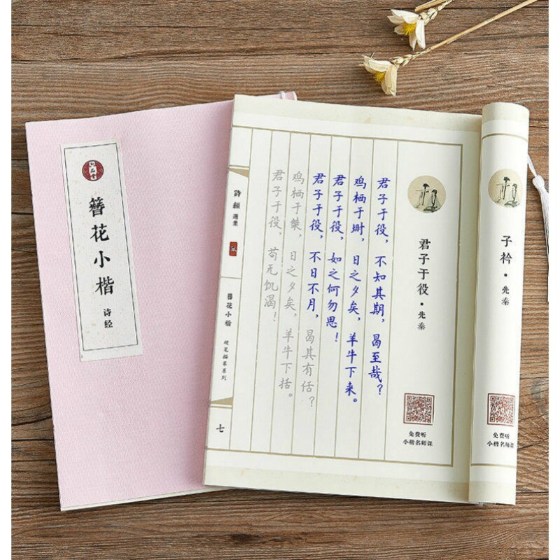 Pen Calligraphy Chinese Classical Regular Script Hard Pen Calligraphy Copybook Adult Exercise Calligraphy Practice Books