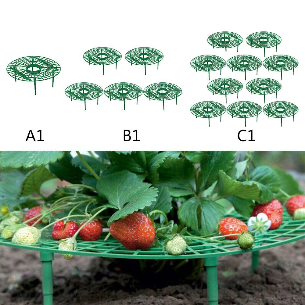 1/5/10 stk jordbær stativ rammeholder plante blomst grønnsak balkong plantestativ frukt støtte hagearbeid