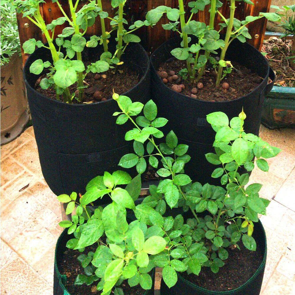 5 bolsas de cultivo de plantas de 7 galones, semillas de plantas, bolsa de siembra de patatas, humectante, frutas, semillas, herramienta de jardín, jardín, jardinería