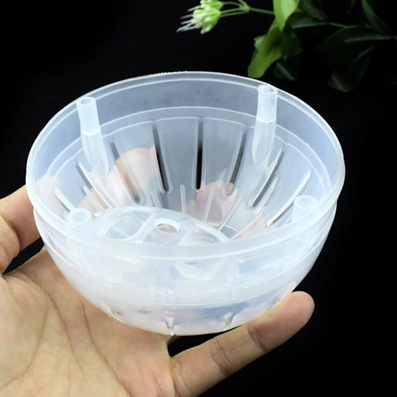 Pet Rodent Mice Hamster Gerbil Rat Jogging Ball Plastic Cages Toy for Play and Exercise