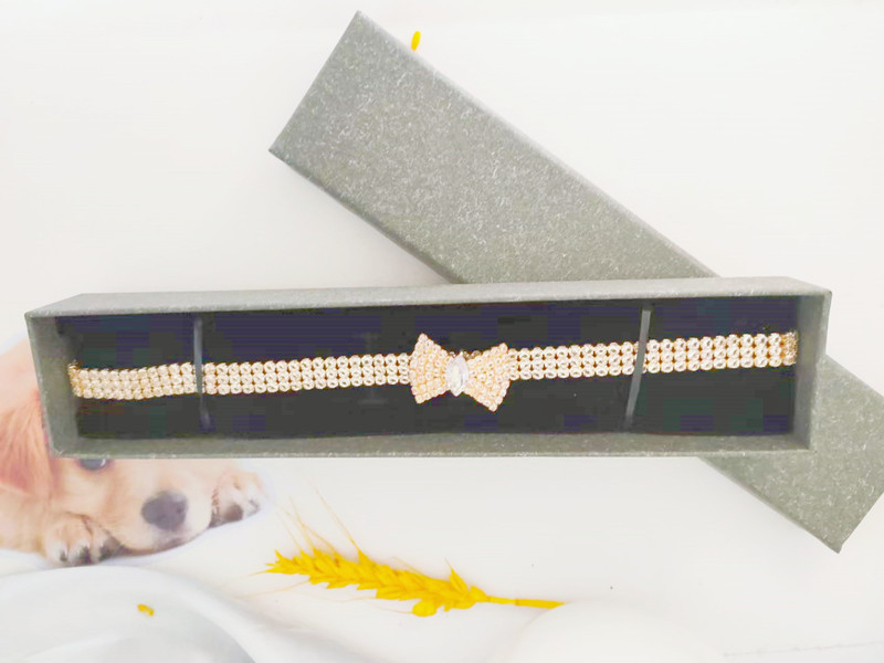 Zirkoon vlinderdas Chihuahua halsband Rose goud kreeft knop kat ketting met pakket doos verstelbare huisdieraccessoires voor het hele seizoen
