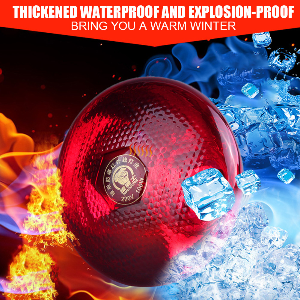 240-V-Infrarot-Wärmelampe, wasserdicht, explosionssicher, verdickte Glühbirnen für Ferkel, Hühner, Vögel, E27, kleine Wärmelampe, 110–245 W