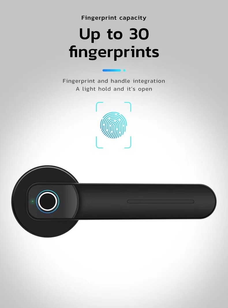 Smart Fingerprints Door Handle Home Lock Biometric Digital Electronic Bluetooth Zinc Alloy Apartment Door