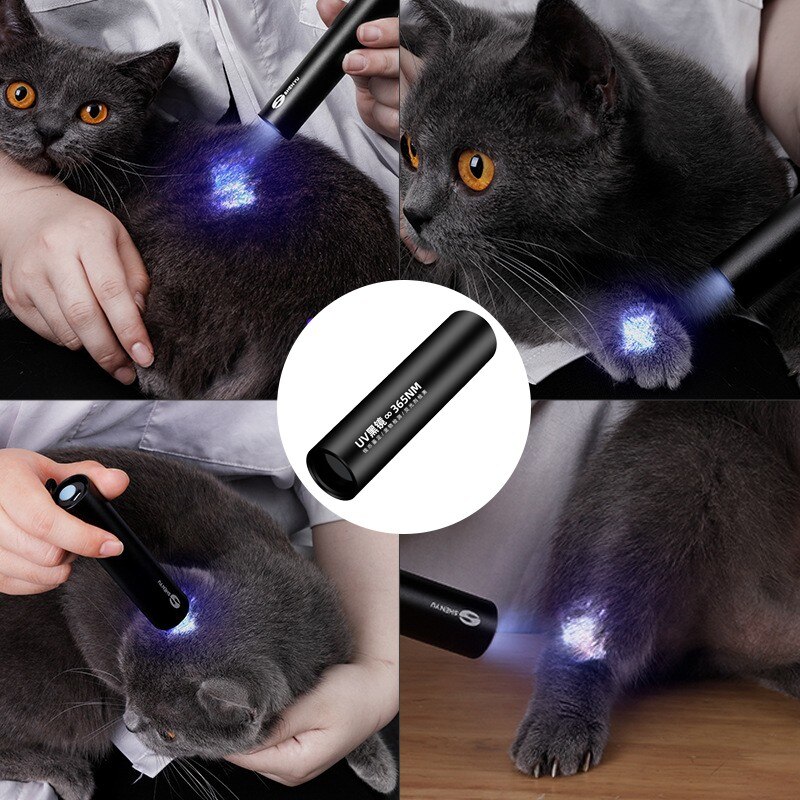 Uv-identificatie zaklamp huisdier kat ringworm katten schimmel led uv testlamp zaklamp ultraviolet fluorescerend middel testlamp
